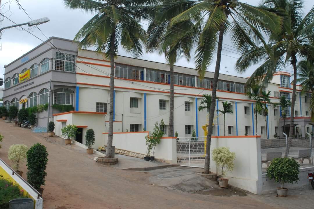 front 1